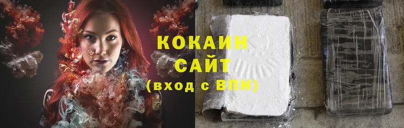 закладка  Каменка  COCAIN Fish Scale 